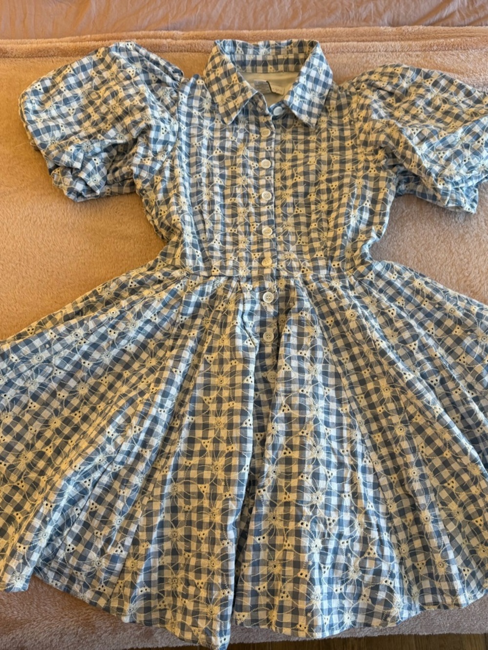 House of Harlow 1960 Blue Check dress